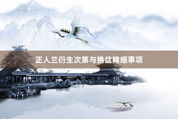 正人兰衍生次第与换盆精细事项