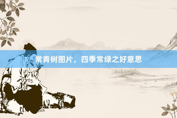 常青树图片,四季常绿之好意思