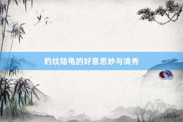 豹纹陆龟的好意思妙与清秀