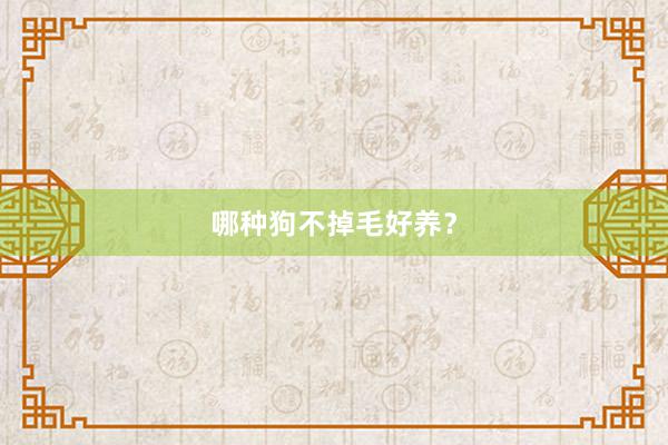 哪种狗不掉毛好养?