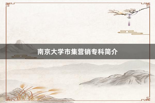 南京大学市集营销专科简介